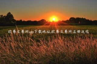 抹茶交易所交易所app下载地址,抹茶交易所交易所注册流程